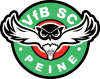 VfB/SC Peine